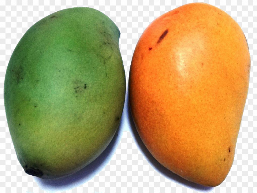 A Pair Of Mango Mangifera Indica Fruit Seed PNG