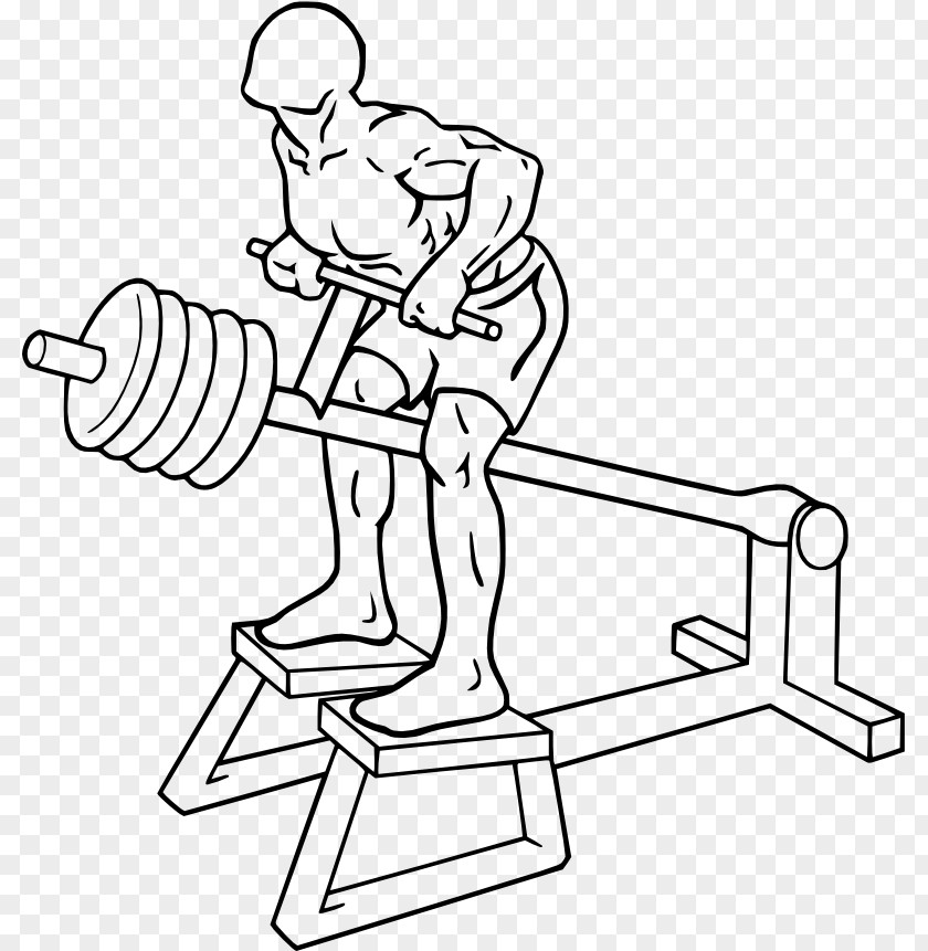 Barbell Bent-over Row Exercise Weight Training PNG