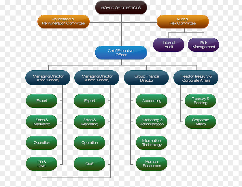 Business Organizational Structure Public Company Chart Limited PNG