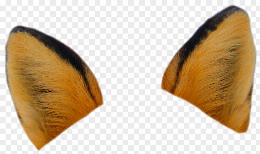 Fennec Fox Red Ear Drawing Tail PNG