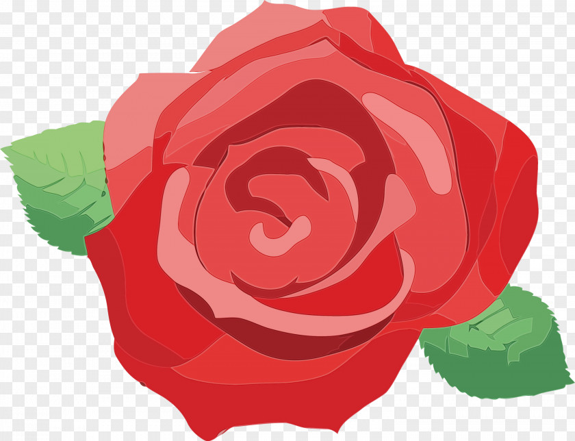 Garden Roses PNG