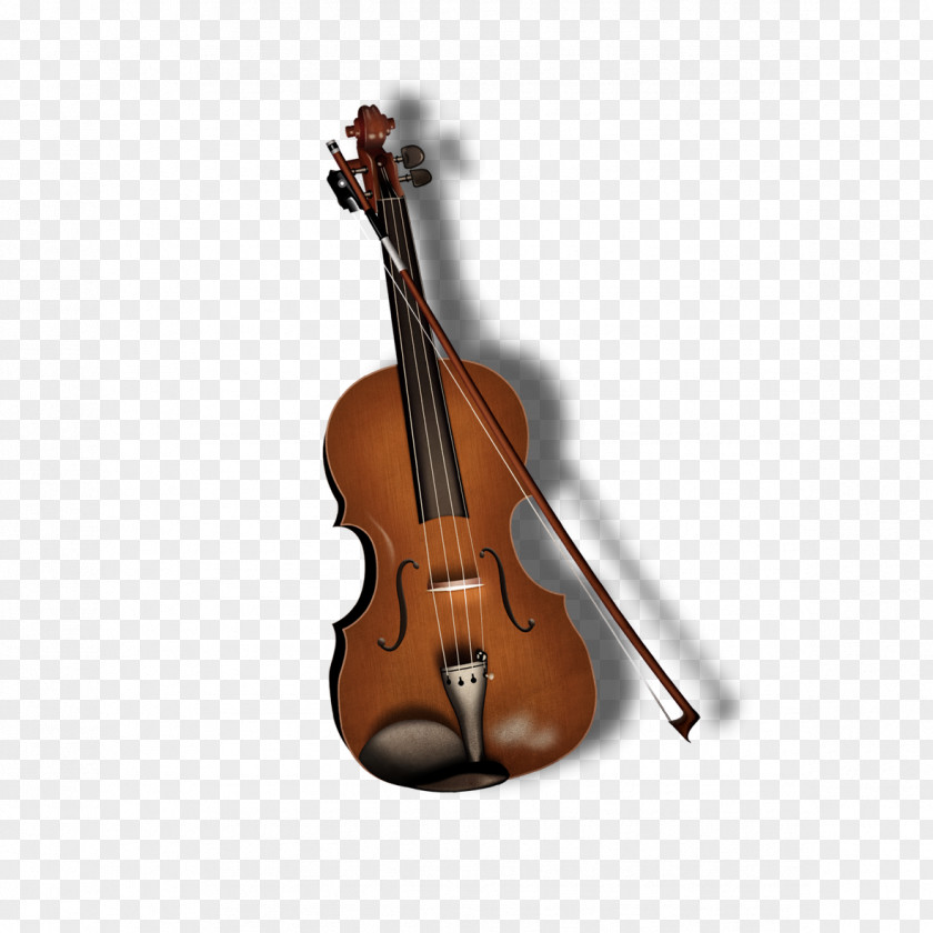 Violin Pictures Bass Violone Viola Double PNG