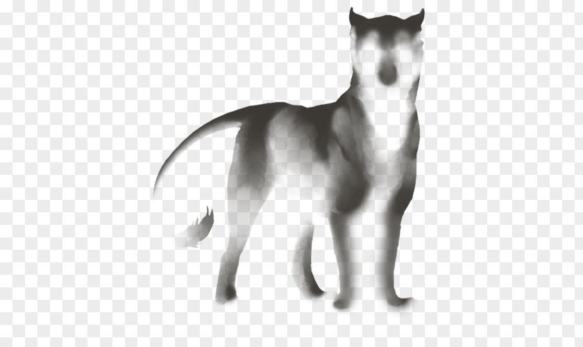 Cat Siberian Husky Sakhalin Seppala Sleddog Dog Breed Whiskers PNG