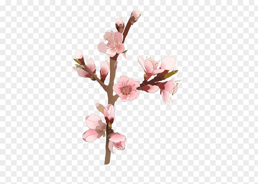 Cherry Blossom PNG