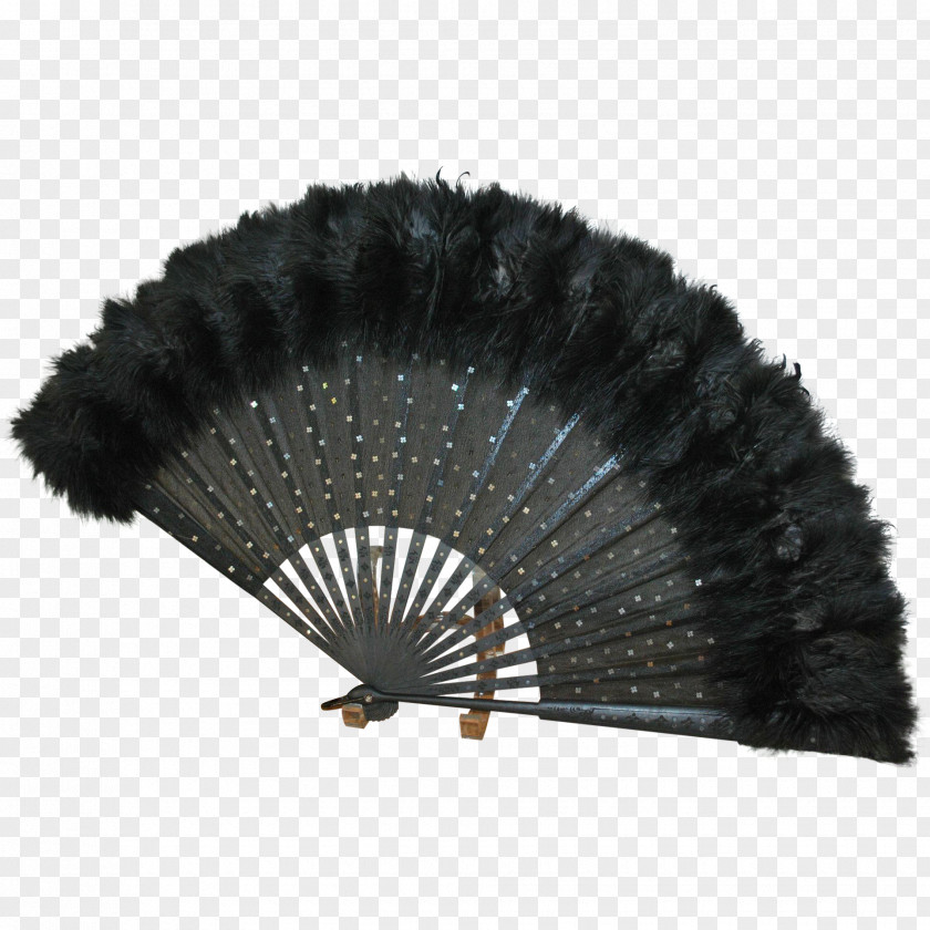 Colored Ostrich Feathers Fan PNG