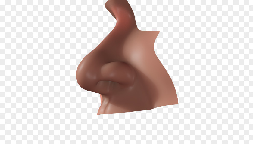 Nose Human Olfaction Clip Art PNG
