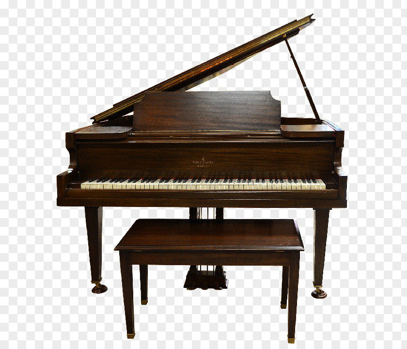 Piano Digital Musical Instruments Player Keyboard PNG