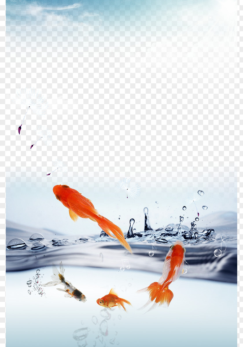 Property Goldfish Lake Water Ionizer Drinking PNG