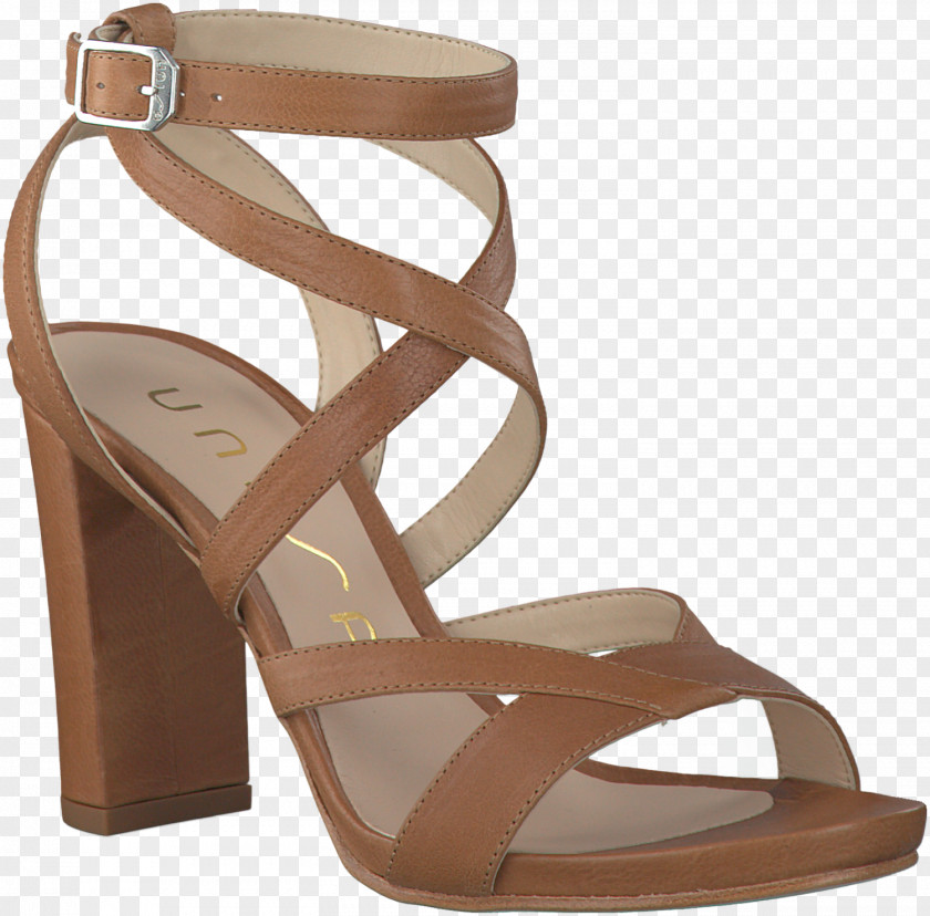 Sandal High-heeled Shoe Footwear Absatz PNG