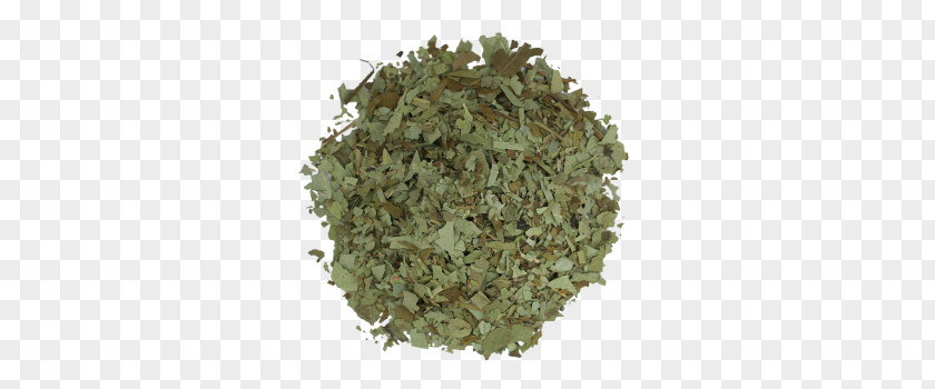 Tea Green Herbal Bag Marmalade PNG