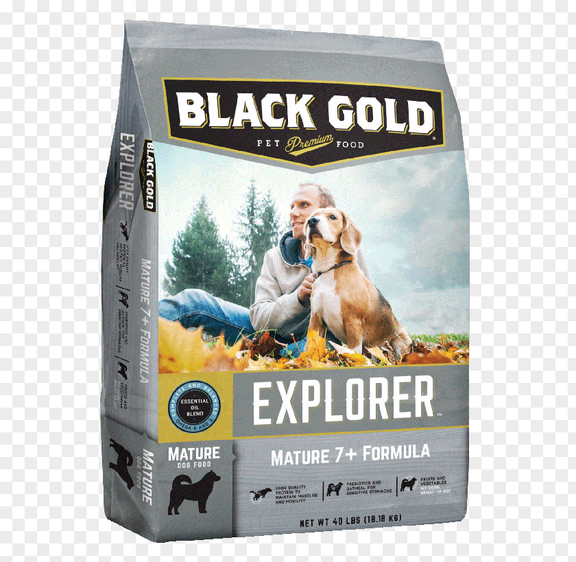 Golden Retriever Dog Food Goldendoodle Pet PNG