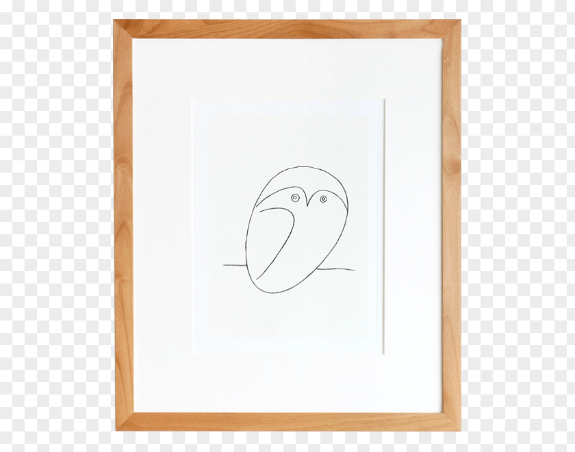 Owl Paper Drawing Picture Frames Line PNG