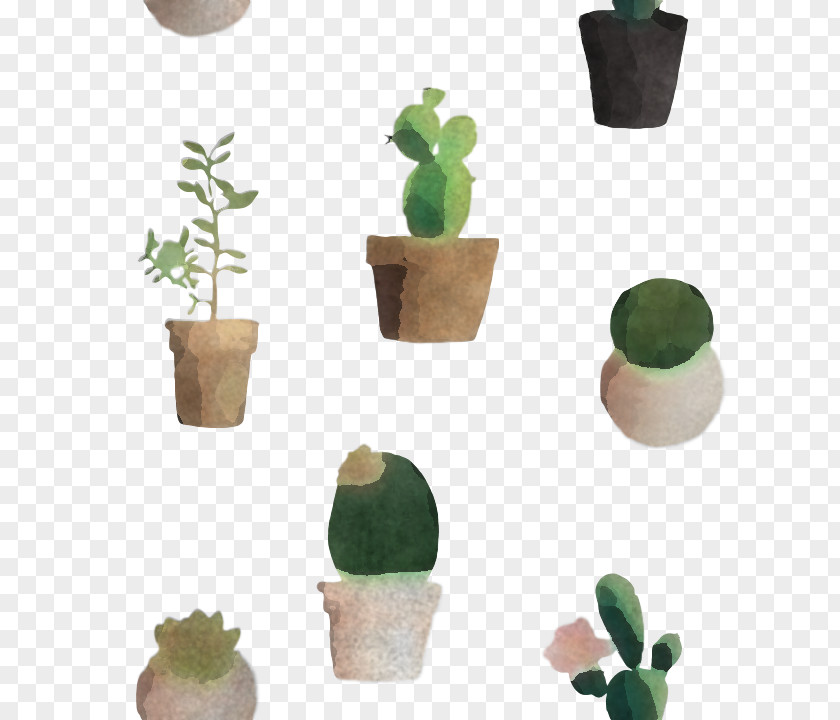 Plant Stem Succulent Cactus PNG