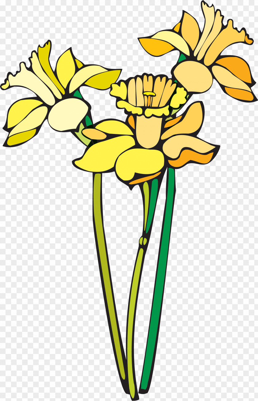 Wildflower Flowerpot Flowers Background PNG