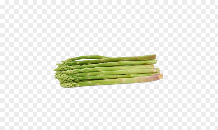 Green Organic Bamboo Shoots Food Asparagus Shoot Download PNG