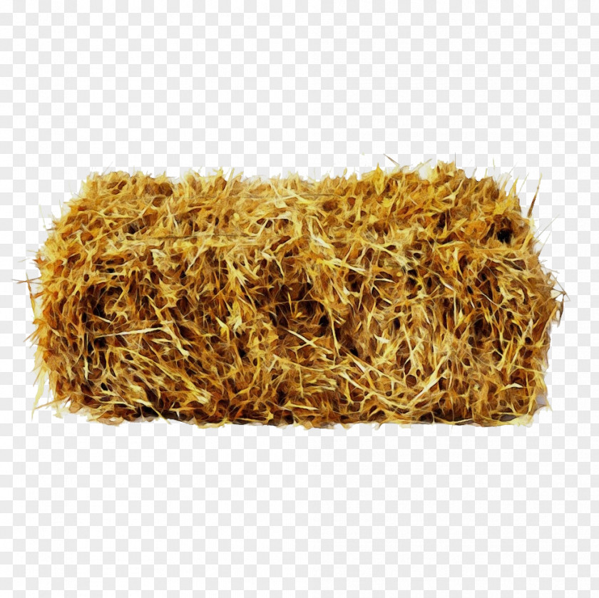 Plant Straw Hay PNG