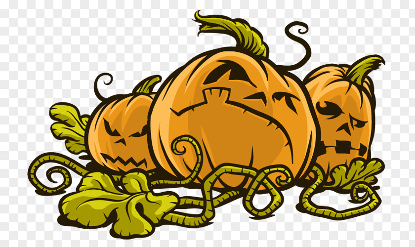 Pumpkin Insect Yellow Clip Art PNG