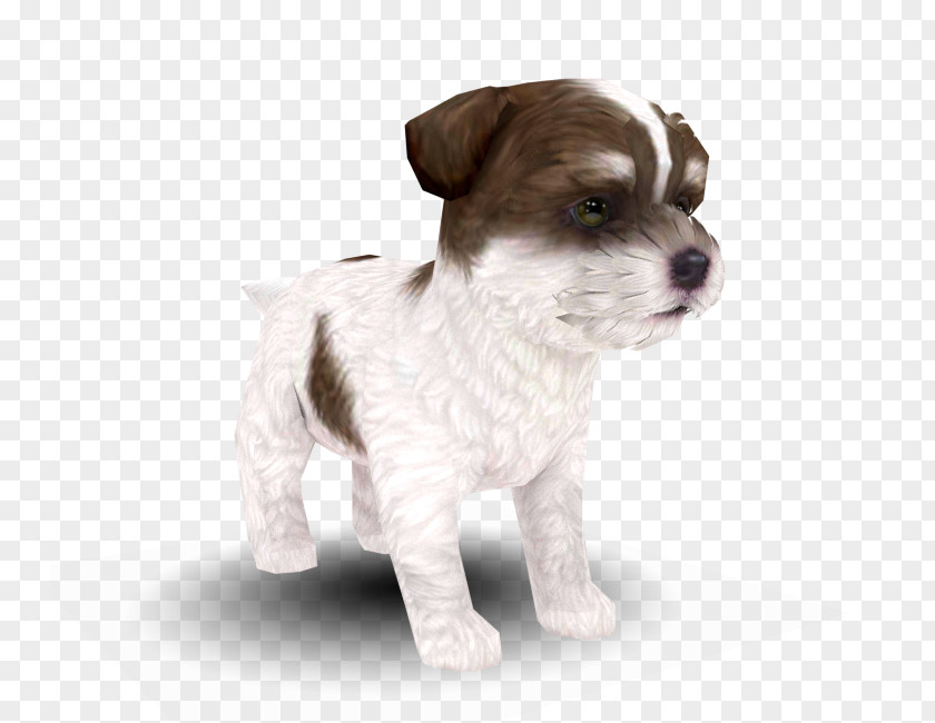 Puppy Dog Breed Nintendogs + Cats Maltese Companion PNG