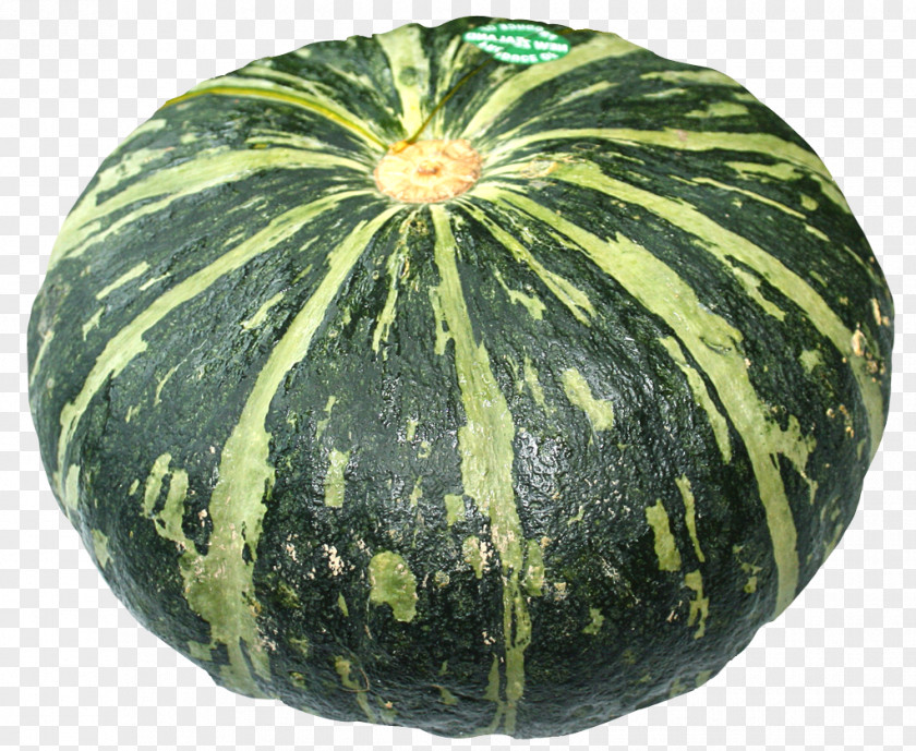 Sweet Pumpkin Watermelon Figleaf Gourd Calabaza PNG