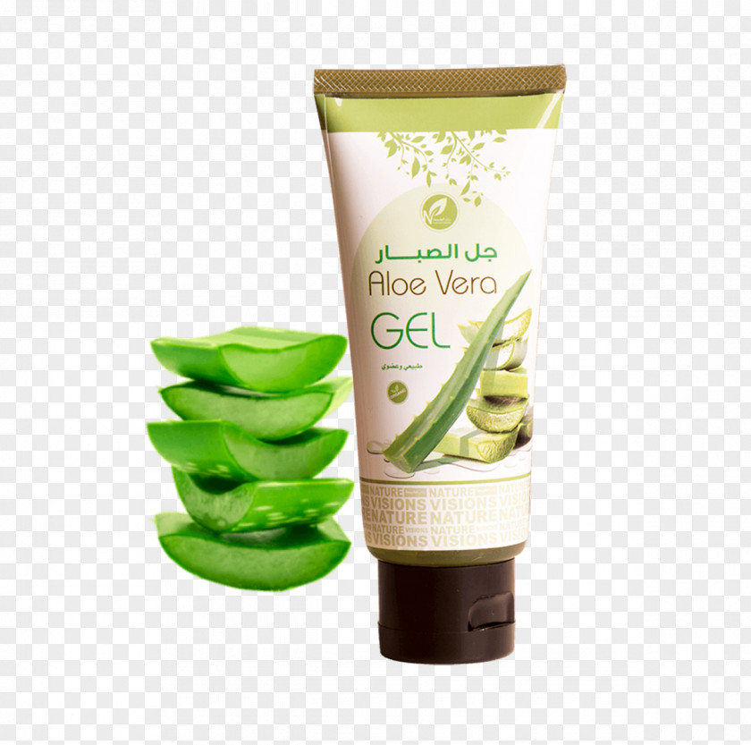 Aloe Vera Botanical Illustration Cream Gel Product Lotion Brand PNG