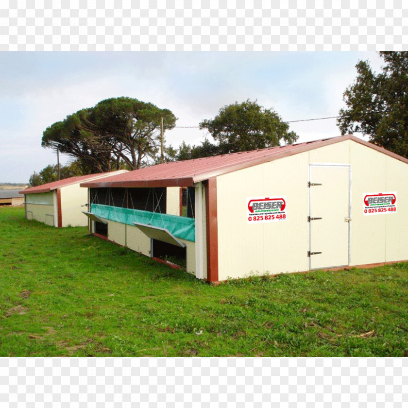 Chicken Coop Beiser Environnement Building Shelter PNG