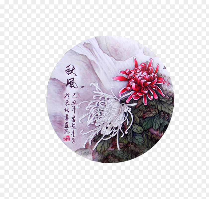 Chrysanthemum Show Photos Download PNG