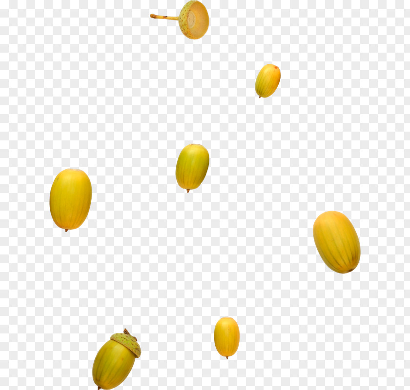 Floating Acorn Lemon Orange Fruit PNG