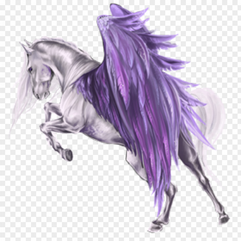 Pegasus Howrse Arabian Horse Hanoverian PNG