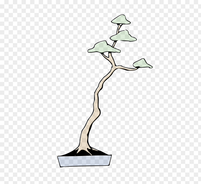 Bonsai Styles Tree Creating Penjing PNG