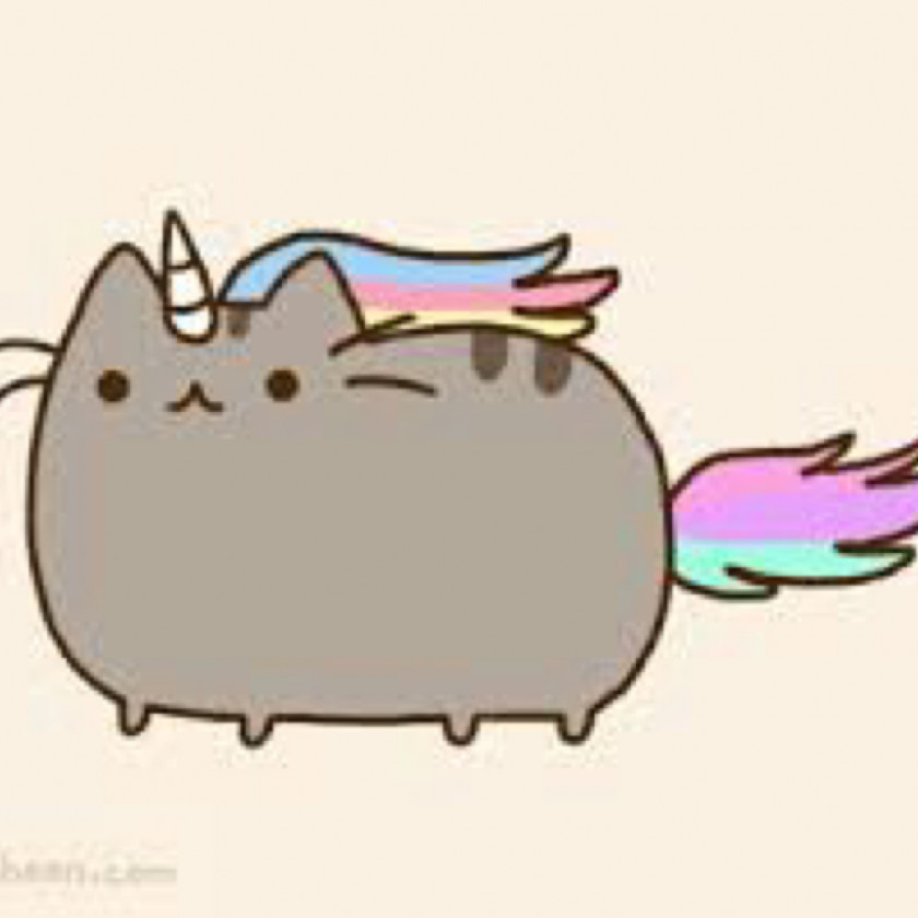 Ferret Birman Kittens And Pusheen Cuteness PNG