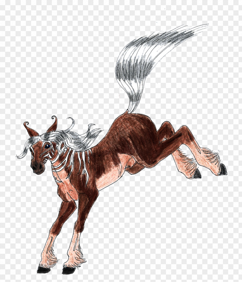Horse Antelope Wildlife Mammal Animal PNG