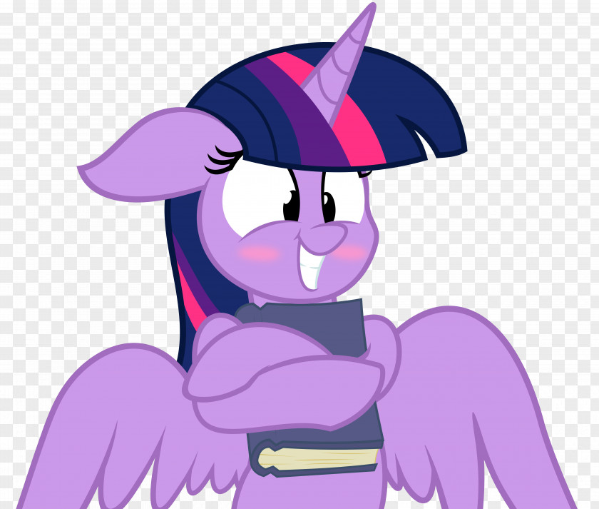 Horse Pony Twilight Sparkle Fluttershy DeviantArt PNG