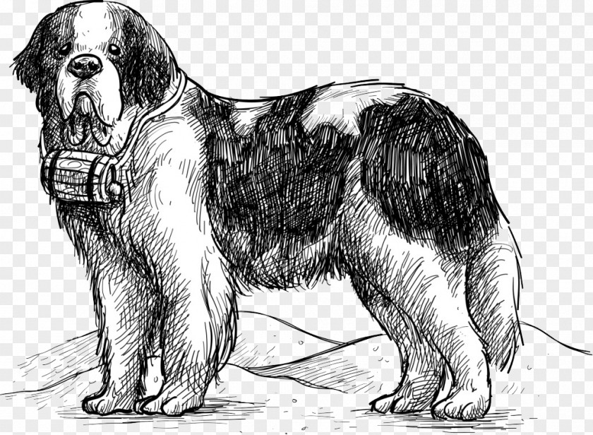 Pet Line St. Bernard Great St Pass Illustration PNG