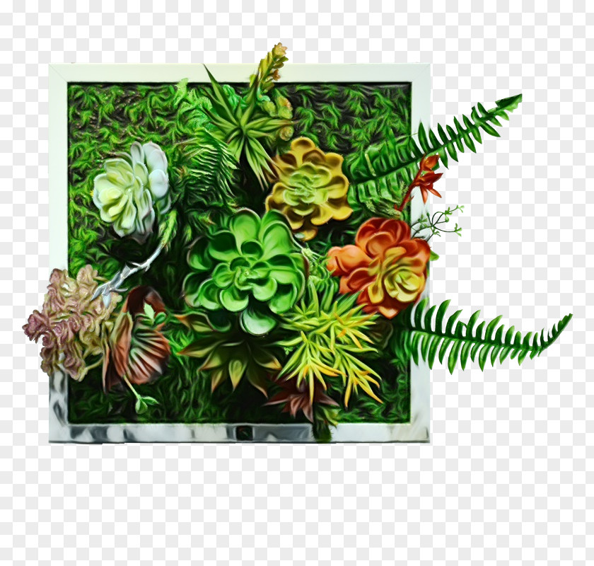 Shrub Vascular Plant Green Leaf Background PNG