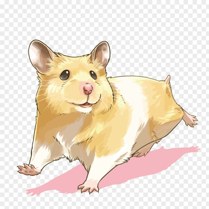 Vector Hamster PNG