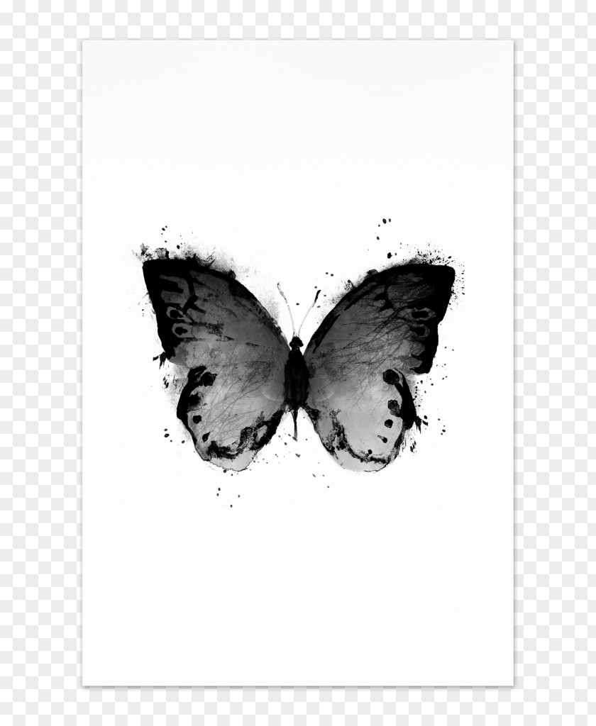 Butterfly Blacklight Poster Art PNG