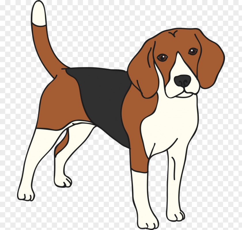 Cat Beagle English Foxhound American Leash PNG