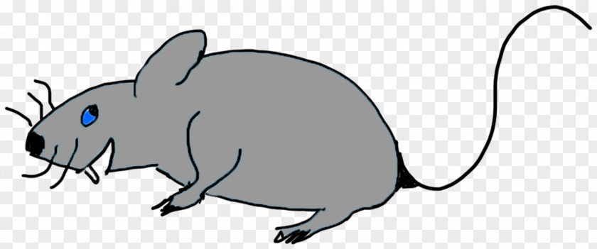 Computer Mouse Whiskers Snout Fauna Clip Art PNG