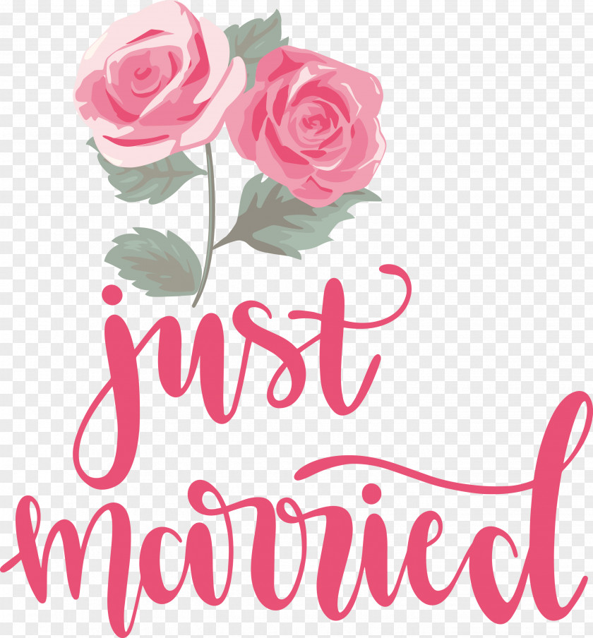 Just Married Wedding PNG