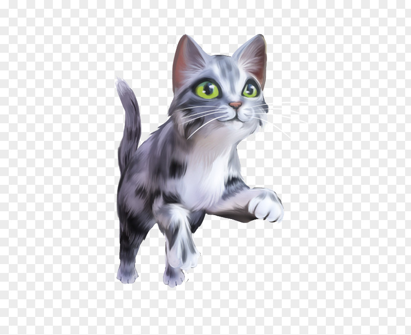 Pastime Wall Cat Run Siamese Kitten Android PNG
