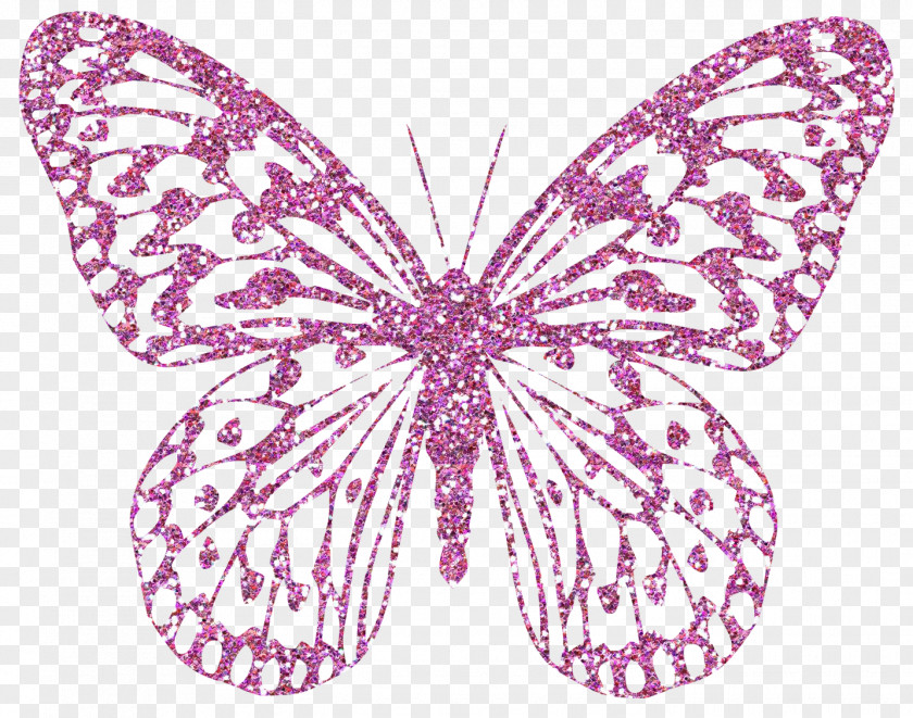 Pink Butterfly Information Clip Art PNG