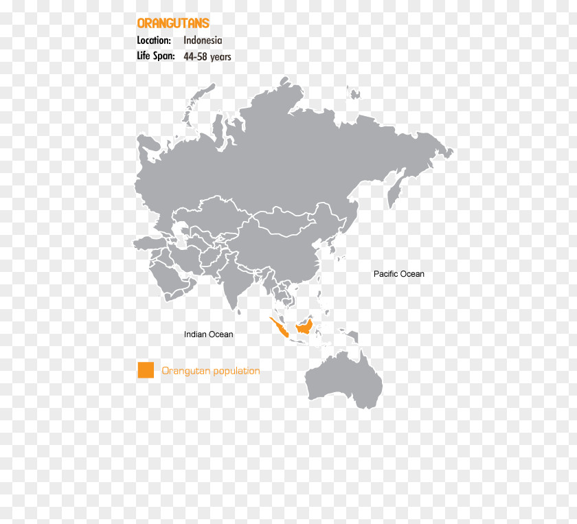 Sumatran Orangutan Country Code United States Netherlands Latin America PNG