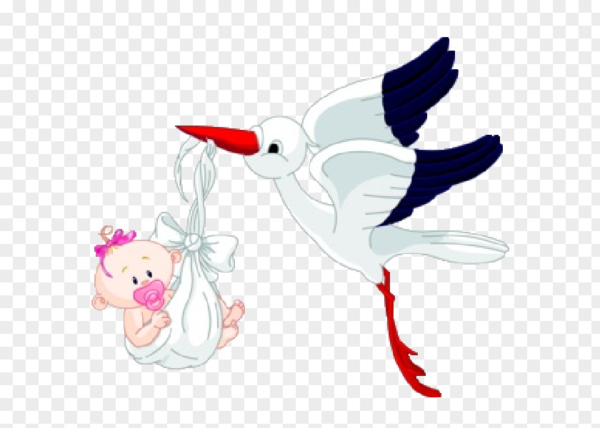 Bird Infant Clip Art PNG