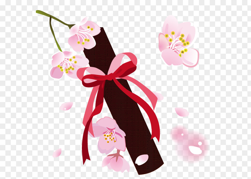Cherry Blossoms And Diploma. PNG