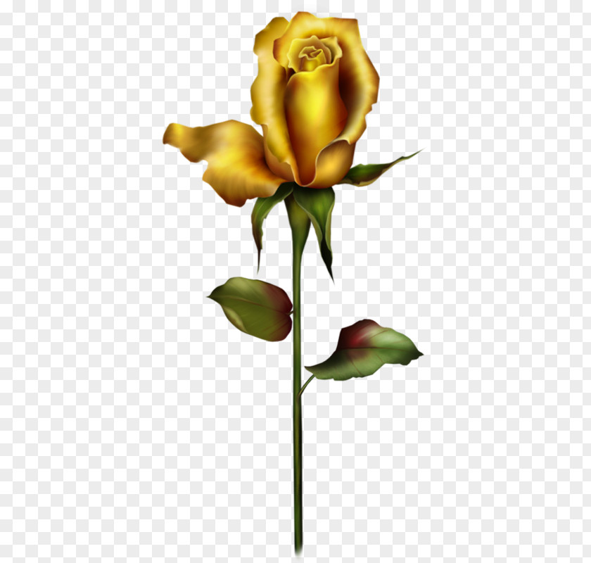 Golden Rose Bud Yellow Clip Art PNG
