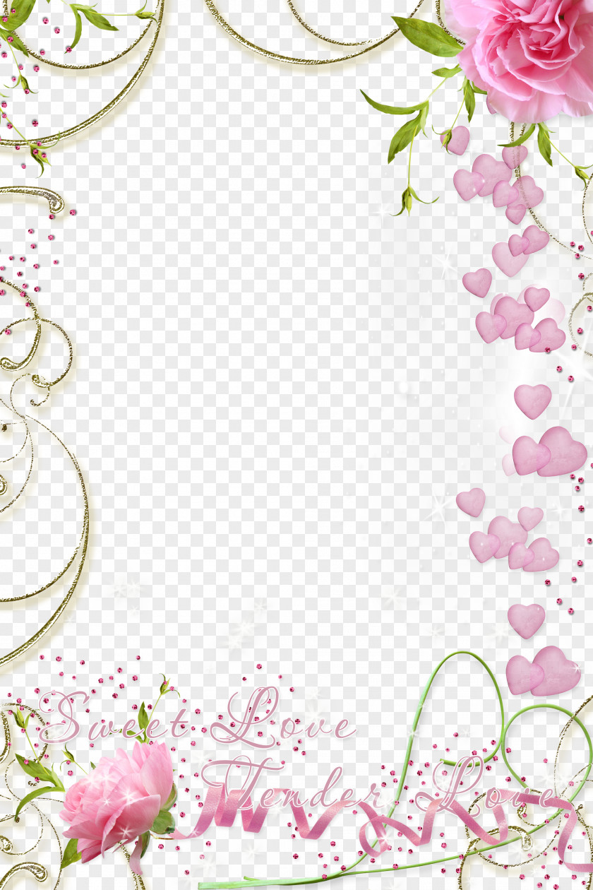 Mood Frame Pictures Download PNG