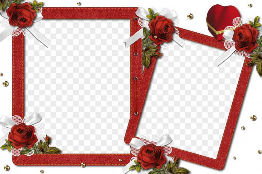 Romantic Floral Photo Frame Picture Frames Photography Clip Art PNG
