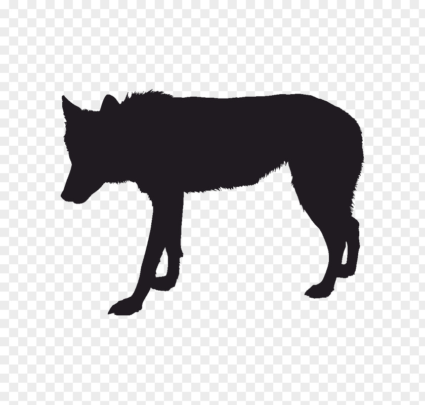 Silhouette Gray Wolf Black Drawing PNG
