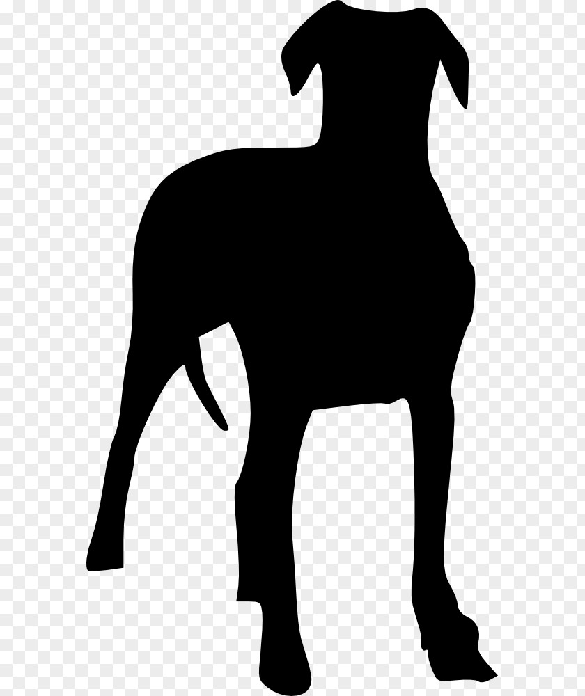 The Black Dog Breed Puppy Clip Art PNG
