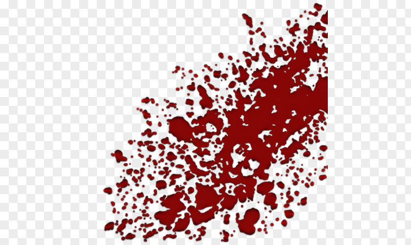 Blood Splatter Bloodstain Pattern Analysis Clip Art PNG